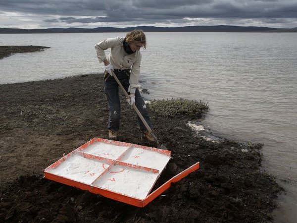 Vier Elemente: Die Luft und die Erde