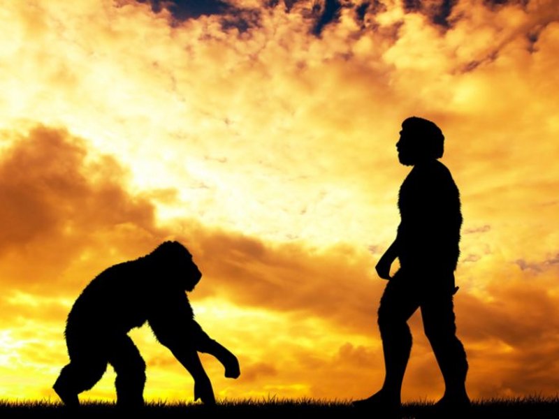 © adrenalinapura - Fotolia