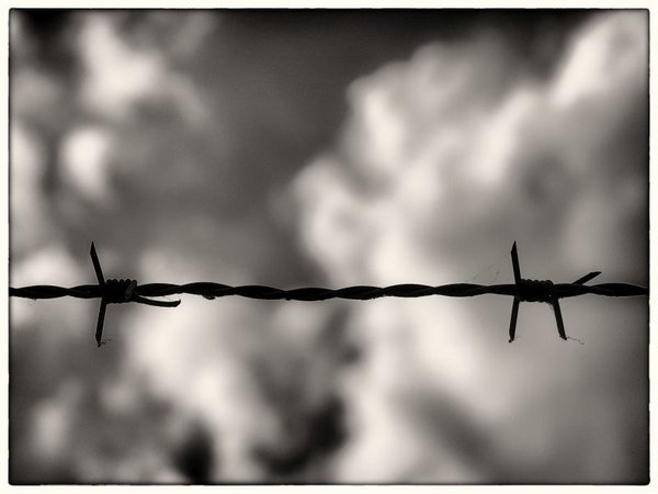 Foto: Claus Tom Christensen