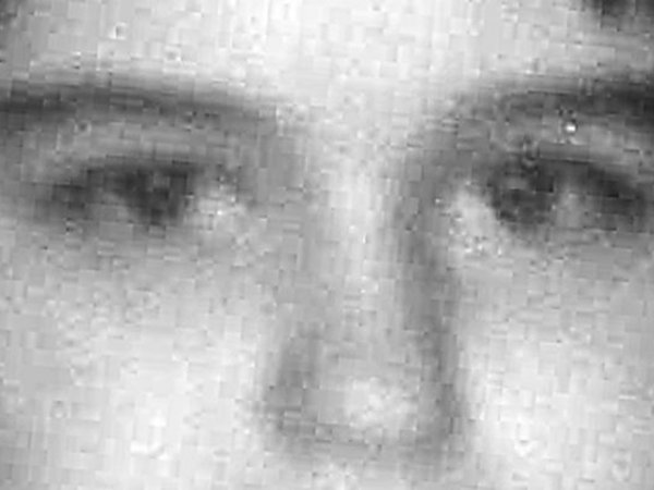 © diö_mis_test_ilonka_1