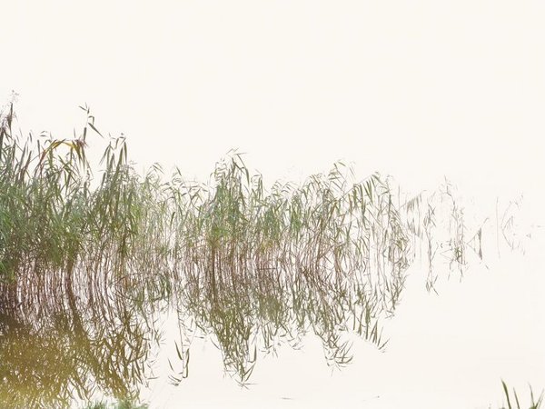 Paradies IV