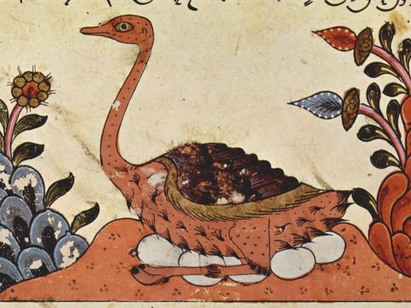 Aus dem ‚Buch der Tiere' von Al-Jahiz © public domain