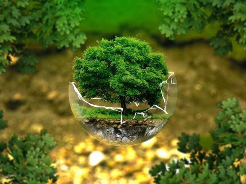 pixabay©environmental-protection-326923_1920