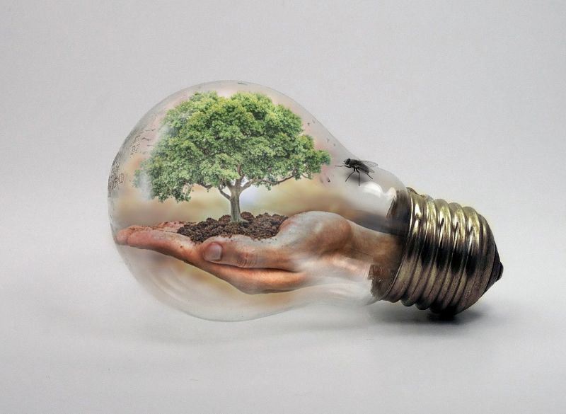 © Foto  bulb_Pixabay
